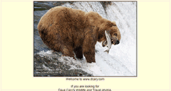 Desktop Screenshot of dcary.com